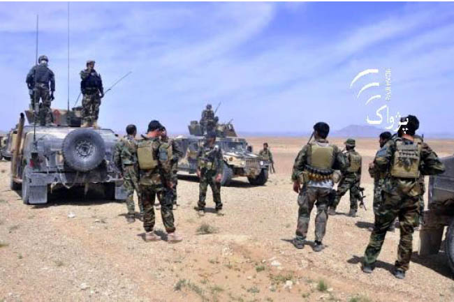 41 Taliban Killed, 50 Wounded  in Shindand Offensive
